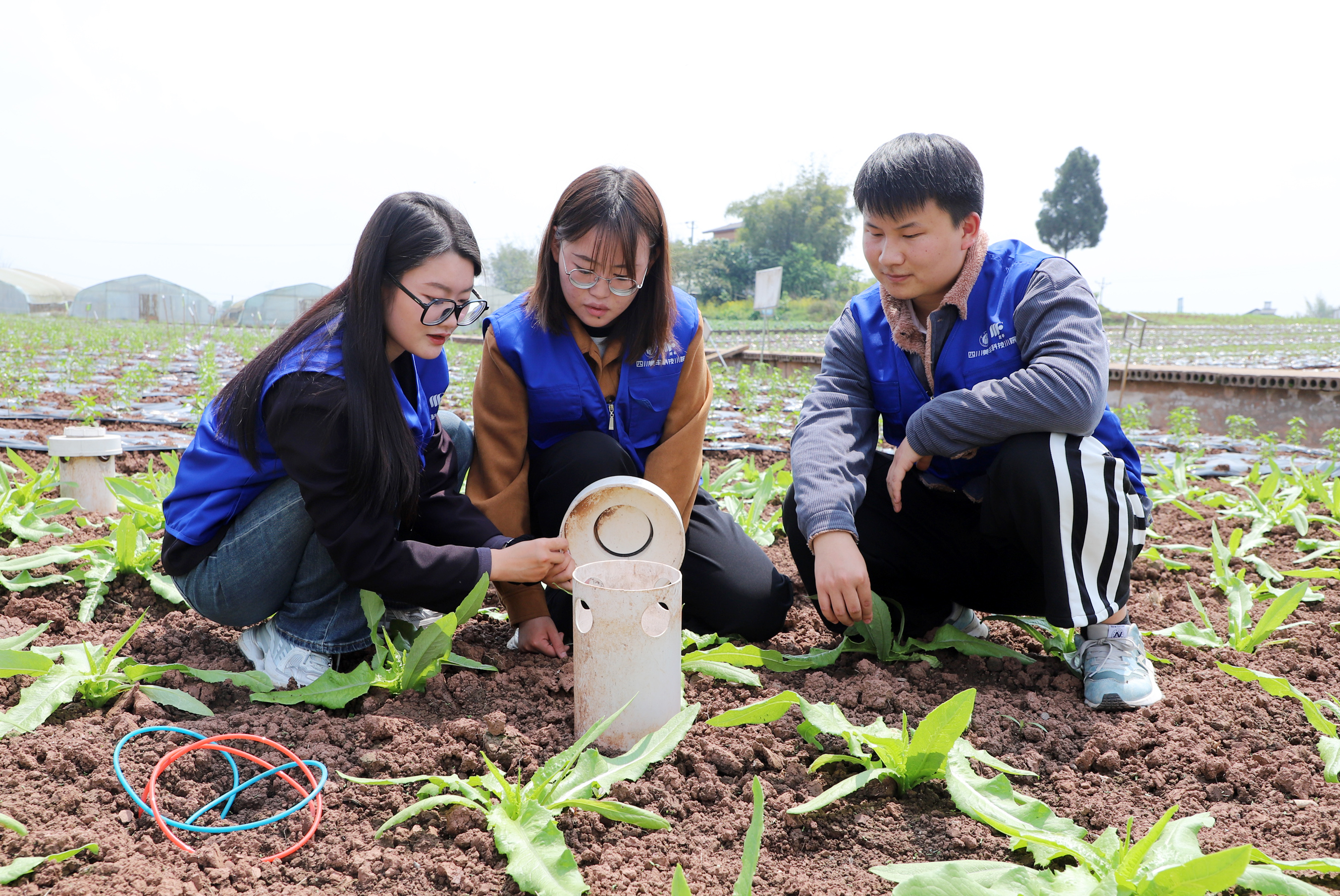 「自找苦吃」是一種怎樣的體驗？