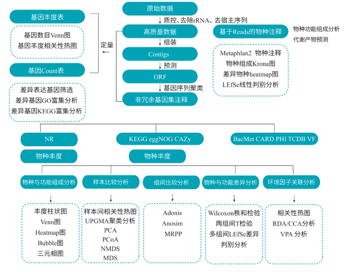 宏轉(zhuǎn)錄組測序分析流程 宏轉(zhuǎn)錄組測序分析流程