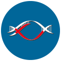 真核生物無參考基因組的轉錄組分析平臺