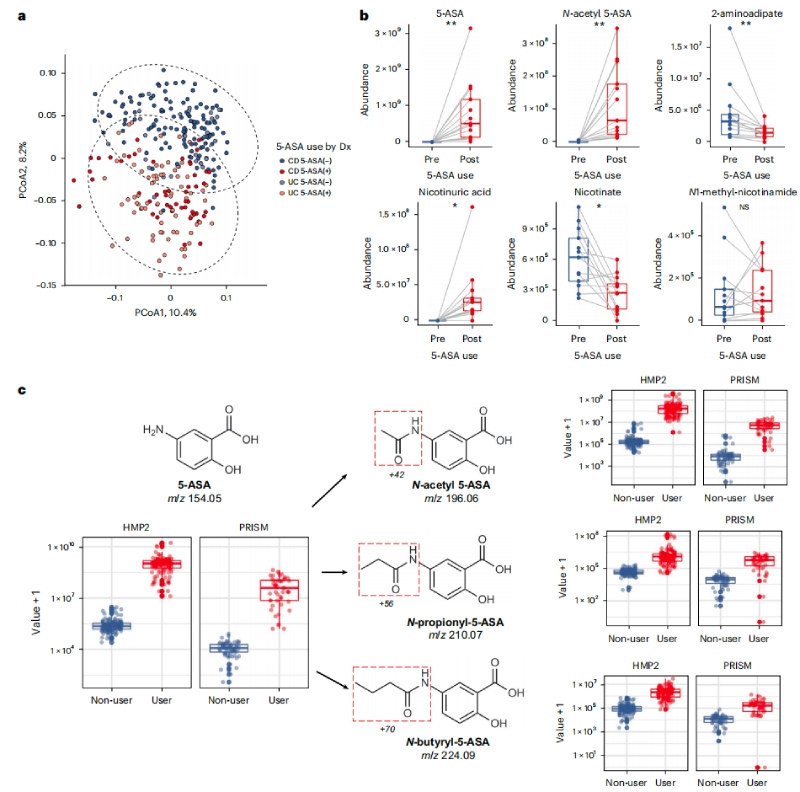 5-ASA可直接影響糞便代謝組，并通過微生物組進(jìn)行生物轉(zhuǎn)化
